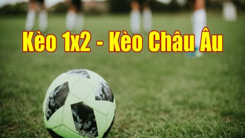 keo 1x2 cuc pho bien